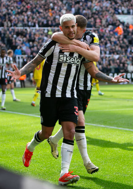 博洛尼亚的 博洛尼亚的