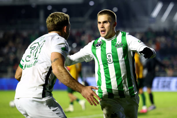 樊振东的言 樊振东的言